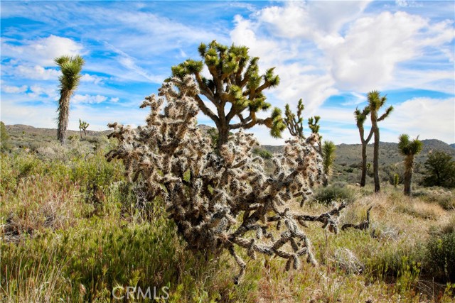 Detail Gallery Image 10 of 33 For 27 Vista Rd, Pioneertown,  CA 92356 - – Beds | – Baths