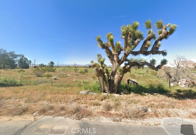 Front Image Thumbnail for CRAR25177073