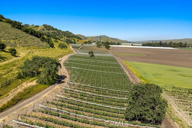 0 Ca Highway 135, Los Alamos CA: https://media.crmls.org/medias/502fd512-d3c1-4b89-a276-89d611bada76.jpg
