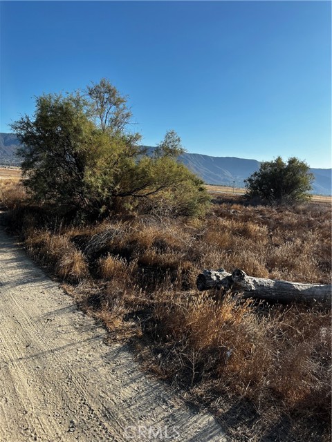 0 SE Morton, Lake Elsinore CA: https://media.crmls.org/medias/5032ce78-2d07-4e0d-8b8e-96f671c7b96d.jpg