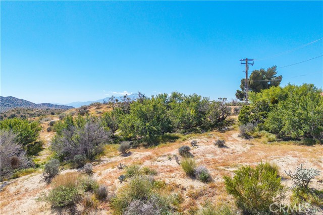 Detail Gallery Image 14 of 32 For 0 Rockaway, Yucca Valley,  CA 92284 - – Beds | – Baths