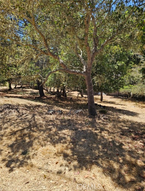 Detail Gallery Image 5 of 8 For 0 Tully Pl, Cambria,  CA 93428 - – Beds | – Baths