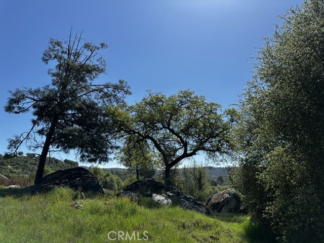 MLS #MC25081631 image #6