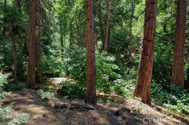 388 State Hwy 173, Lake Arrowhead, CA, 92352 388 State Hwy 173, Lake Arrowhead, CA, 92352