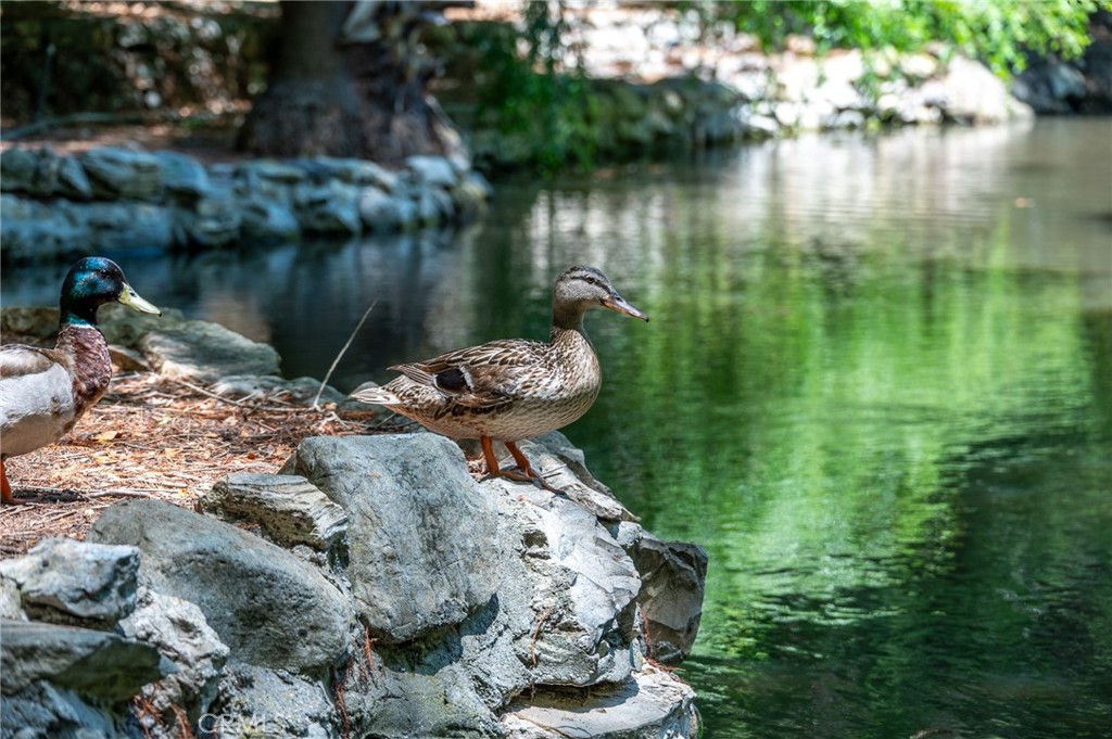 https://media.crmls.org/medias/504aa731-fdc3-4b57-94b2-5dc2cb8e3f7f.jpg?preset=X-Large