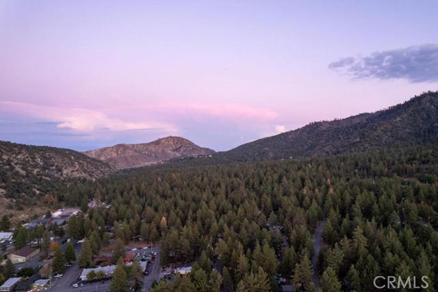 Detail Gallery Image 1 of 24 For 1301 Irene St, Wrightwood,  CA 92397 - 3 Beds | 1 Baths