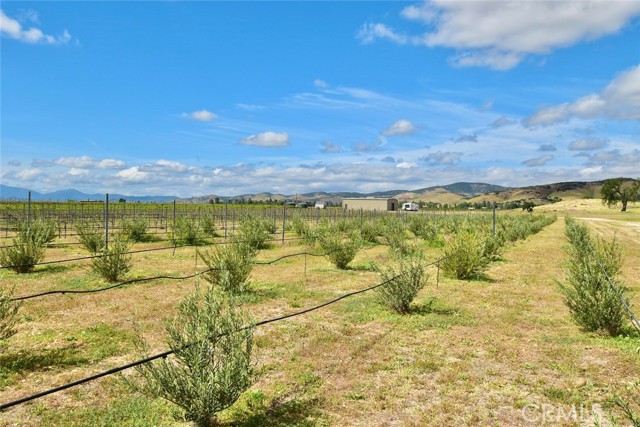 50645 Lockwood Road, Lockwood CA: https://media.crmls.org/medias/504cbba1-2223-4a39-bda2-68a926448464.jpg