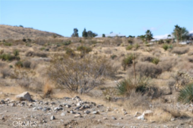 0 Juniper, Apple Valley CA: https://media.crmls.org/medias/504ce46f-1dfd-429b-8afe-b019a186bcdb.jpg