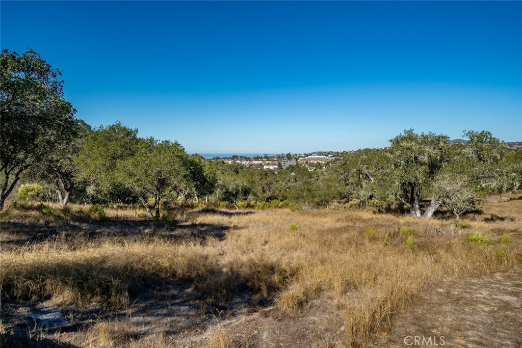 MLS #SC26152767 image #58