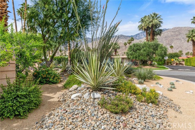 1200 S. Manzanita Avenue, Palm Springs, CA 92264