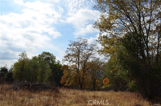 Detail Gallery Image 14 of 41 For 2 .68ac Sneezeweed Ln, North Fork,  CA 93643 - – Beds | – Baths