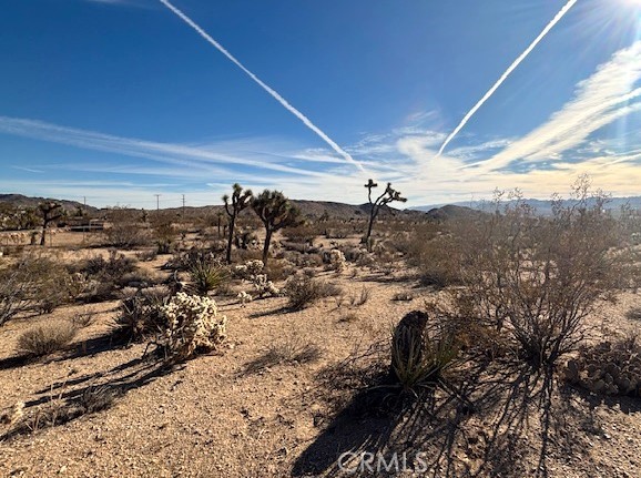 MLS #JT25252608 image #3