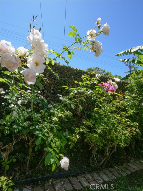 1569 W 218th Street, Torrance CA: https://media.crmls.org/medias/5060c502-c73e-4233-a35d-d5d90f52c868.jpg