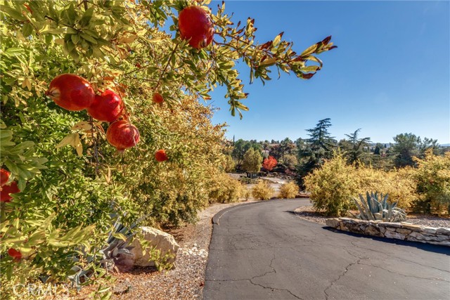 Detail Gallery Image 39 of 52 For 833 Rolling Hills Dr, Paso Robles,  CA 93446 - 4 Beds | 3 Baths