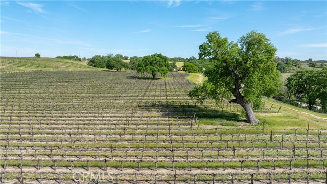 Detail Gallery Image 26 of 31 For 4647 Buena Vista Dr, Paso Robles,  CA 93446 - 2 Beds | 1 Baths