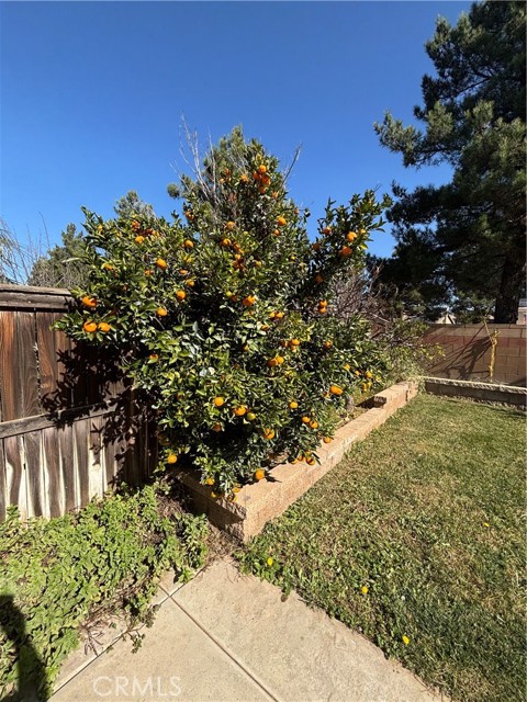 Detail Gallery Image 53 of 65 For 1064 Queen Annes Ln, Beaumont,  CA 92223 - 4 Beds | 2/1 Baths