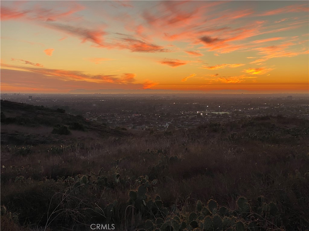 https://media.crmls.org/medias/506c7a9a-0fa7-4a56-a3ea-6a512c794c34.jpg?preset=X-Large