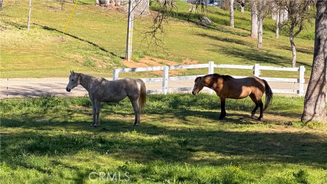 Detail Gallery Image 67 of 75 For 4421 Scrubby Oak, Mariposa,  CA 95338 - 6 Beds | 4/2 Baths