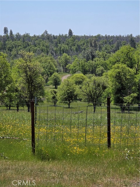 Detail Gallery Image 60 of 75 For 5963 Schilling Road, Coulterville,  CA 95311 - 3 Beds | 3 Baths