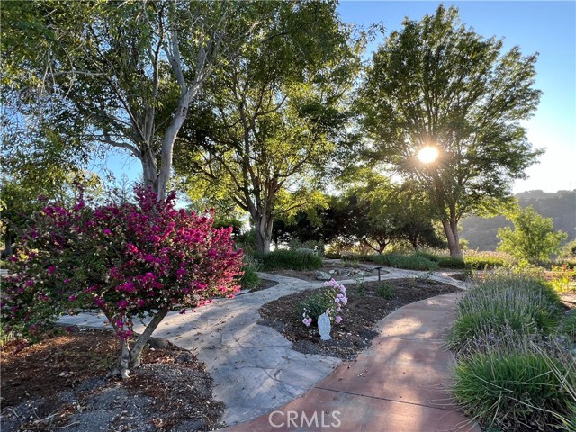 1220 Bassi Drive, San Luis Obispo CA: https://media.crmls.org/medias/50718642-f626-4176-a23f-f369555c7fc1.jpg