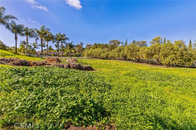 Image 49 of 56 For 4709 Briana Court