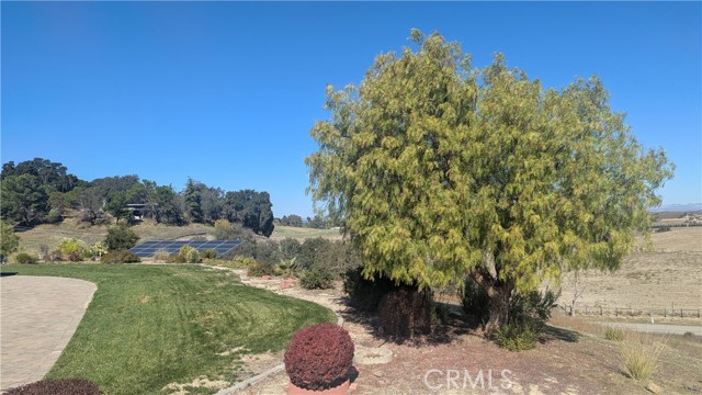 Detail Gallery Image 37 of 41 For 880 Tracy, Templeton,  CA 93465 - 4 Beds | 3/1 Baths