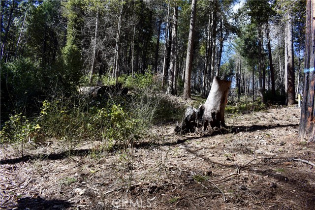 Detail Gallery Image 6 of 52 For 0 Toyon Trl, Berry Creek,  CA 95916 - – Beds | – Baths