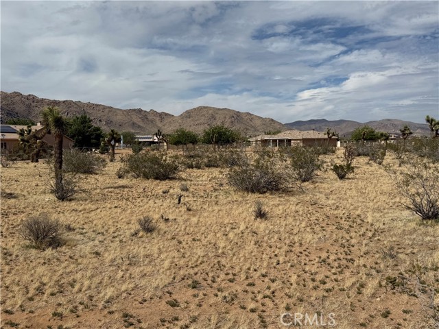 Detail Gallery Image 4 of 32 For 0 Japatul Rd, Apple Valley,  CA 92307 - – Beds | – Baths