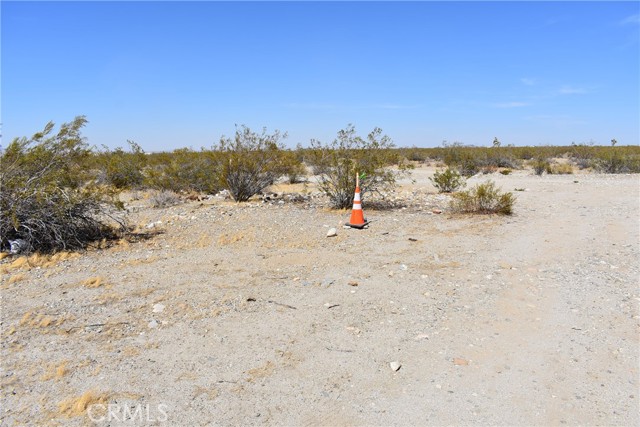 Pearblossom, CA 93553