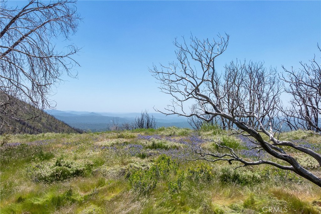 MLS #MP25088475 image #9