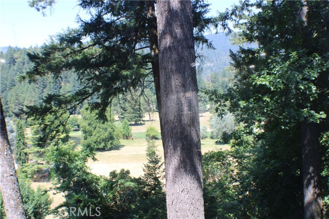 Detail Gallery Image 29 of 40 For 168 W Forest View Dr, Willow Creek,  CA 95573 - 4 Beds | 2 Baths