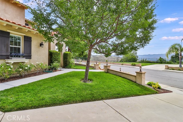 1851 Clarkia Street photo 2
