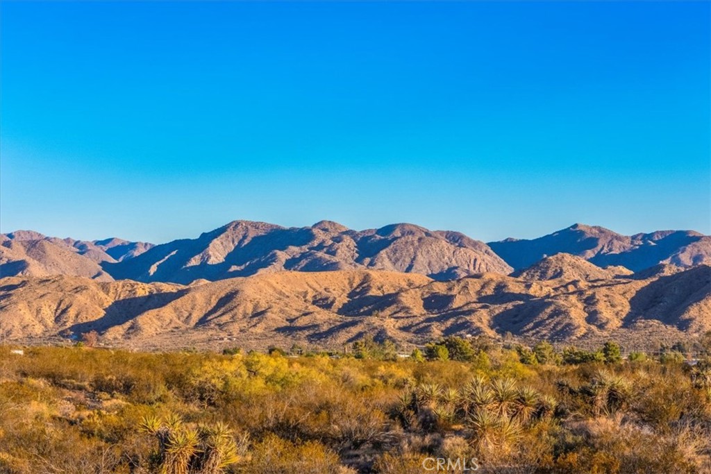 MLS #JT25260931 image #40