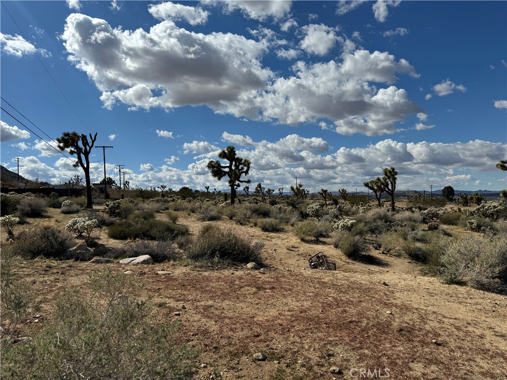 MLS #JT24057098 image #1