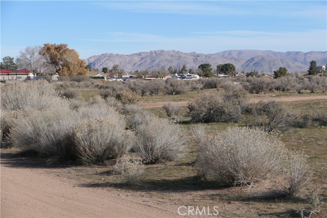 Detail Gallery Image 8 of 16 For 0 Passo Rd, Apple Valley,  CA 92308 - – Beds | – Baths