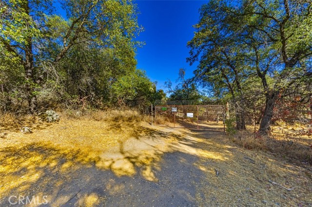 Detail Gallery Image 9 of 28 For 4200 Silver Lane Rd, Mariposa,  CA 95338 - – Beds | – Baths