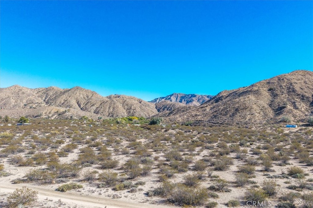 MLS #JT25257791 image #13