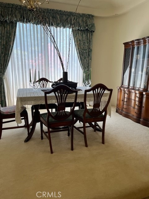 11719 Blossomwood Court photo 8