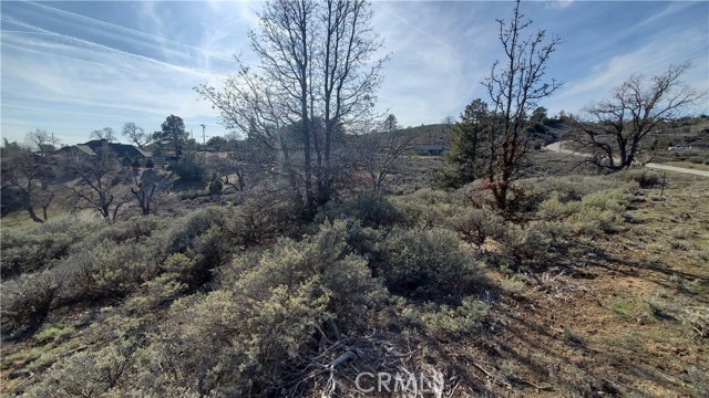 25041 Jacaranda Drive, Tehachapi, California 93561, ,Land,For Sale,25041 Jacaranda Drive,CRSR23210317