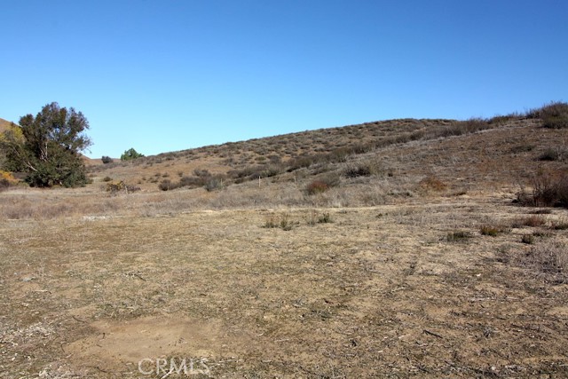 33687 N Sidney Circle, Winchester CA: https://media.crmls.org/medias/50ca29b2-578d-41db-88ee-33a0ac8b4a95.jpg