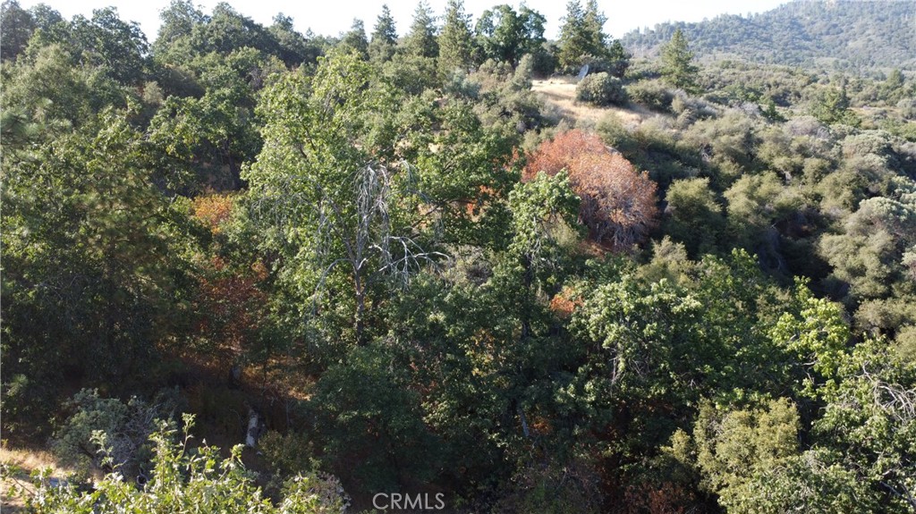 https://media.crmls.org/medias/50ca31ae-2ca7-4889-8db0-cf4214dd8b78.jpg?preset=X-Large