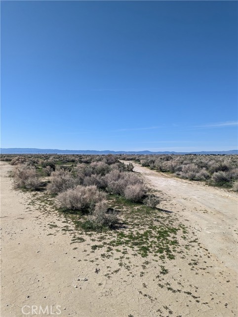 Detail Gallery Image 1 of 1 For 0 Unknown, Rosamond,  CA 93560 - – Beds | – Baths