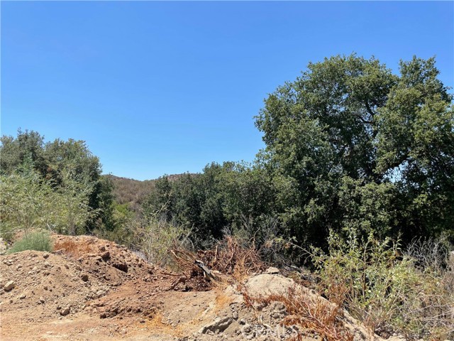 0 The Farm Rd, Wildomar, California 92595, ,Land,For Sale,0 The Farm Rd,CRSW22222726