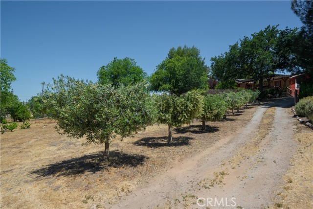 9892 River Road, San Miguel CA: https://media.crmls.org/medias/50e0f31e-e723-46f6-9d97-183d73113b80.jpg