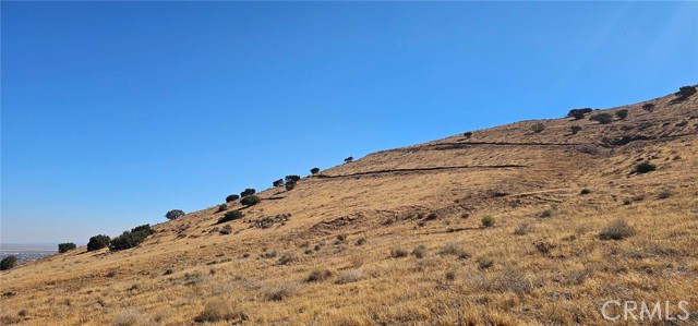 MLS #SR25202411 image #5