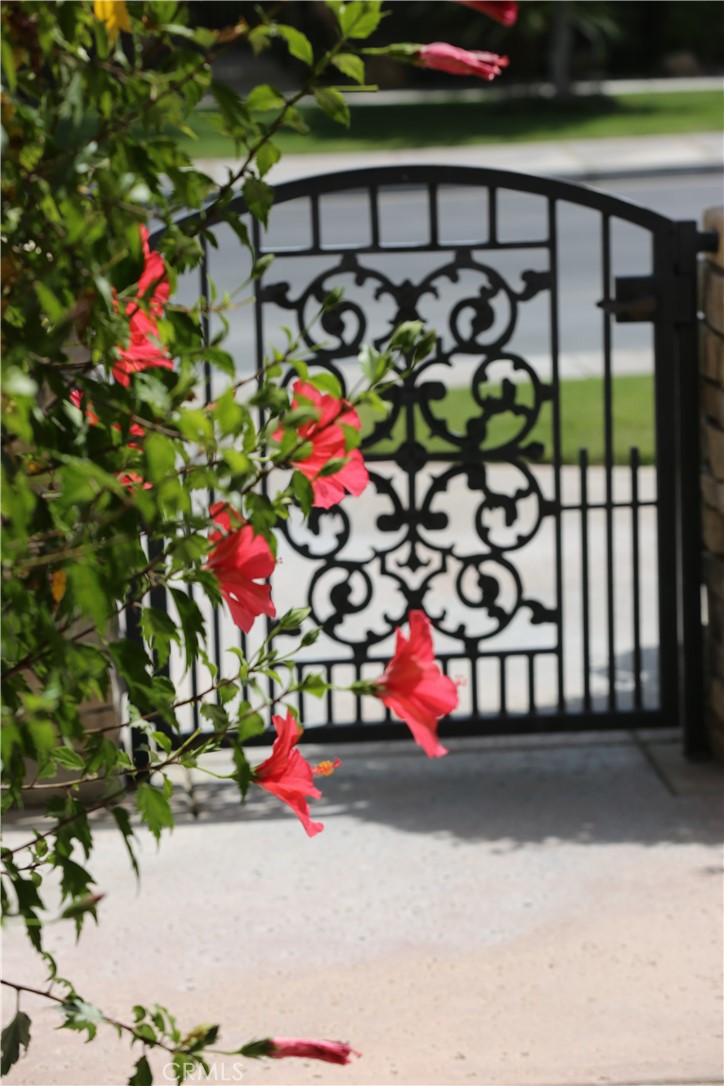 MLS #GD25254199 image #3