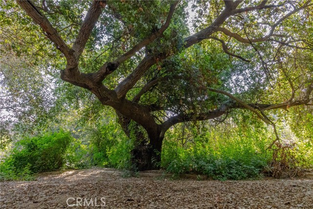 26655 Glen Eden Road, Corona CA: https://media.crmls.org/medias/50e9e064-5a94-4796-bda4-d56745d1c3a6.jpg