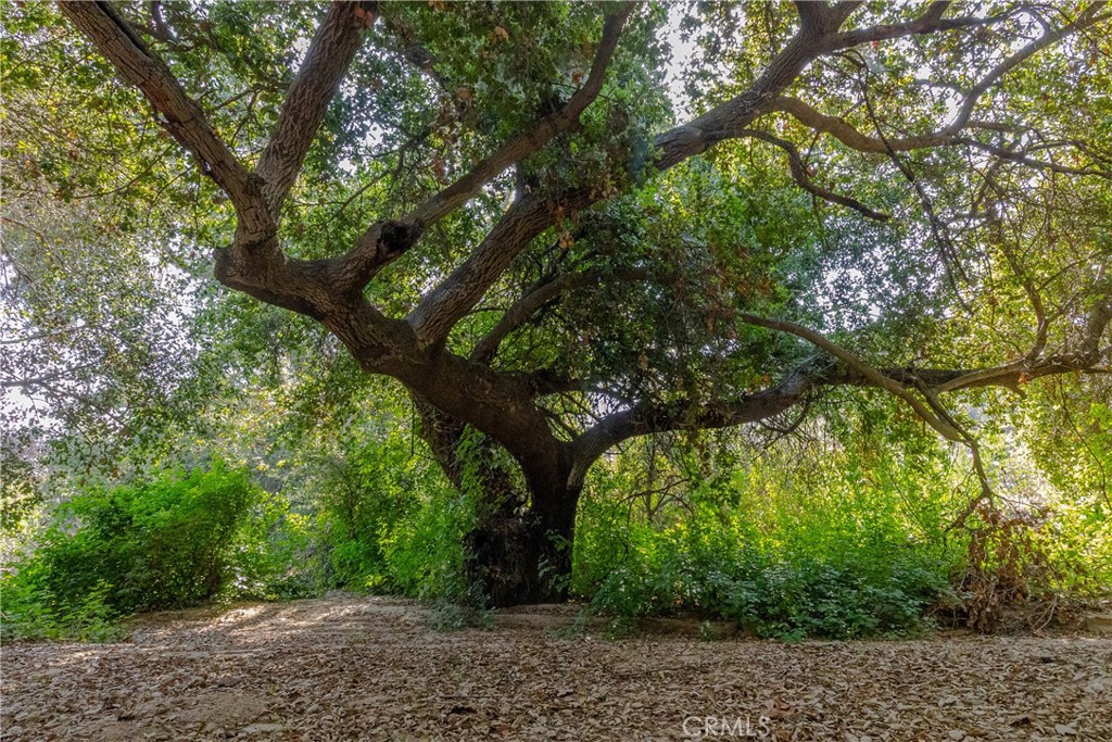 https://media.crmls.org/medias/50e9e064-5a94-4796-bda4-d56745d1c3a6.jpg?preset=X-Large