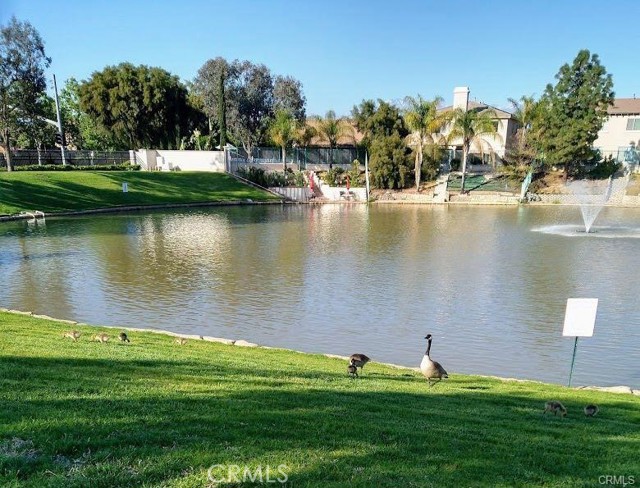 Detail Gallery Image 22 of 25 For 25820 Iris Ave #C,  Moreno Valley,  CA 92551 - 3 Beds | 3 Baths