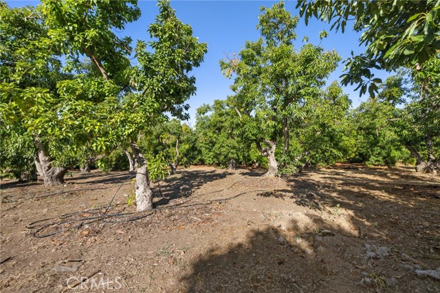 Image 53 of 74 For 4368 Crown Ranch Road